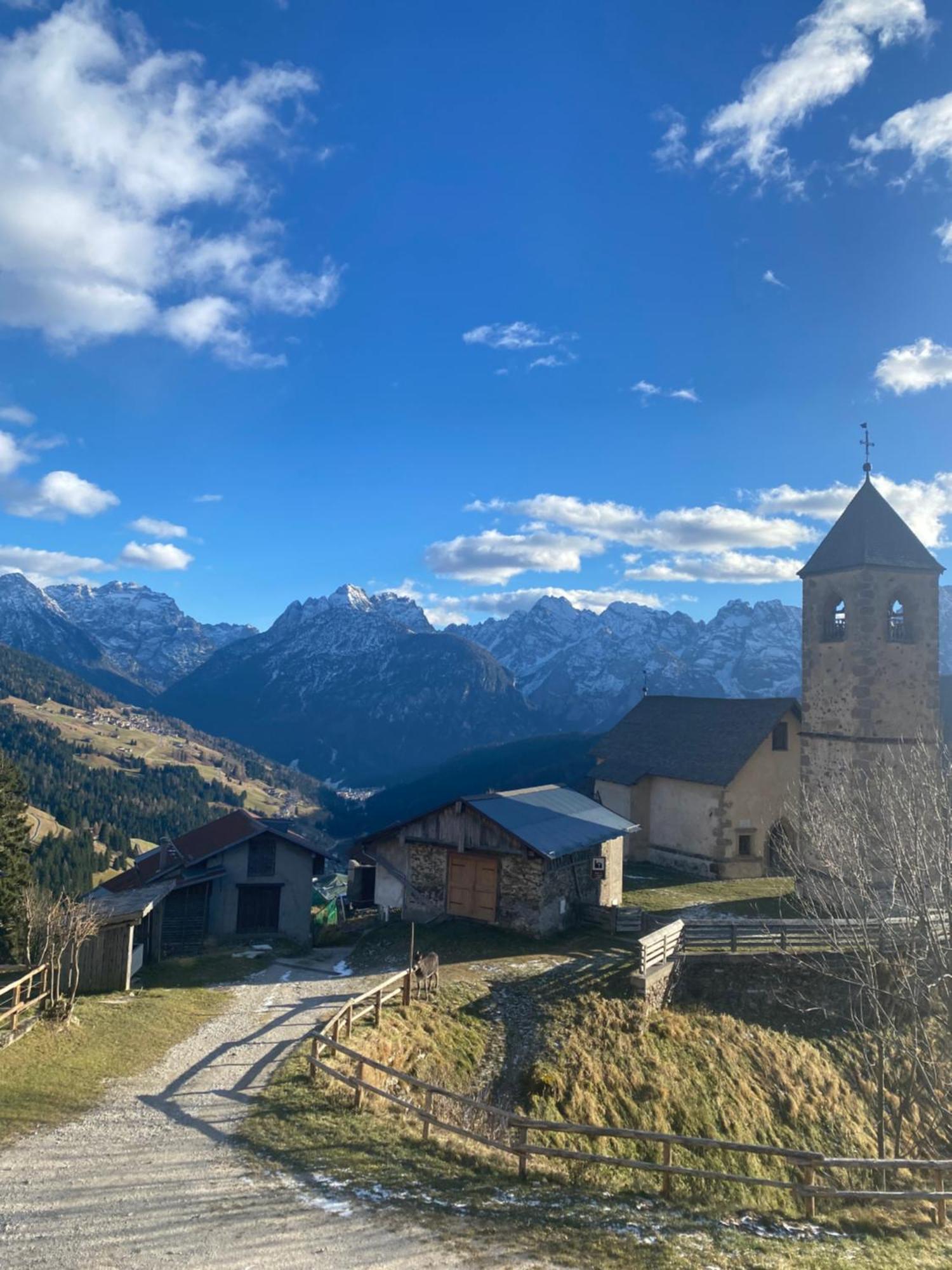 Ferienwohnung Casa Monica Santo Stefano Di Cadore Exterior foto